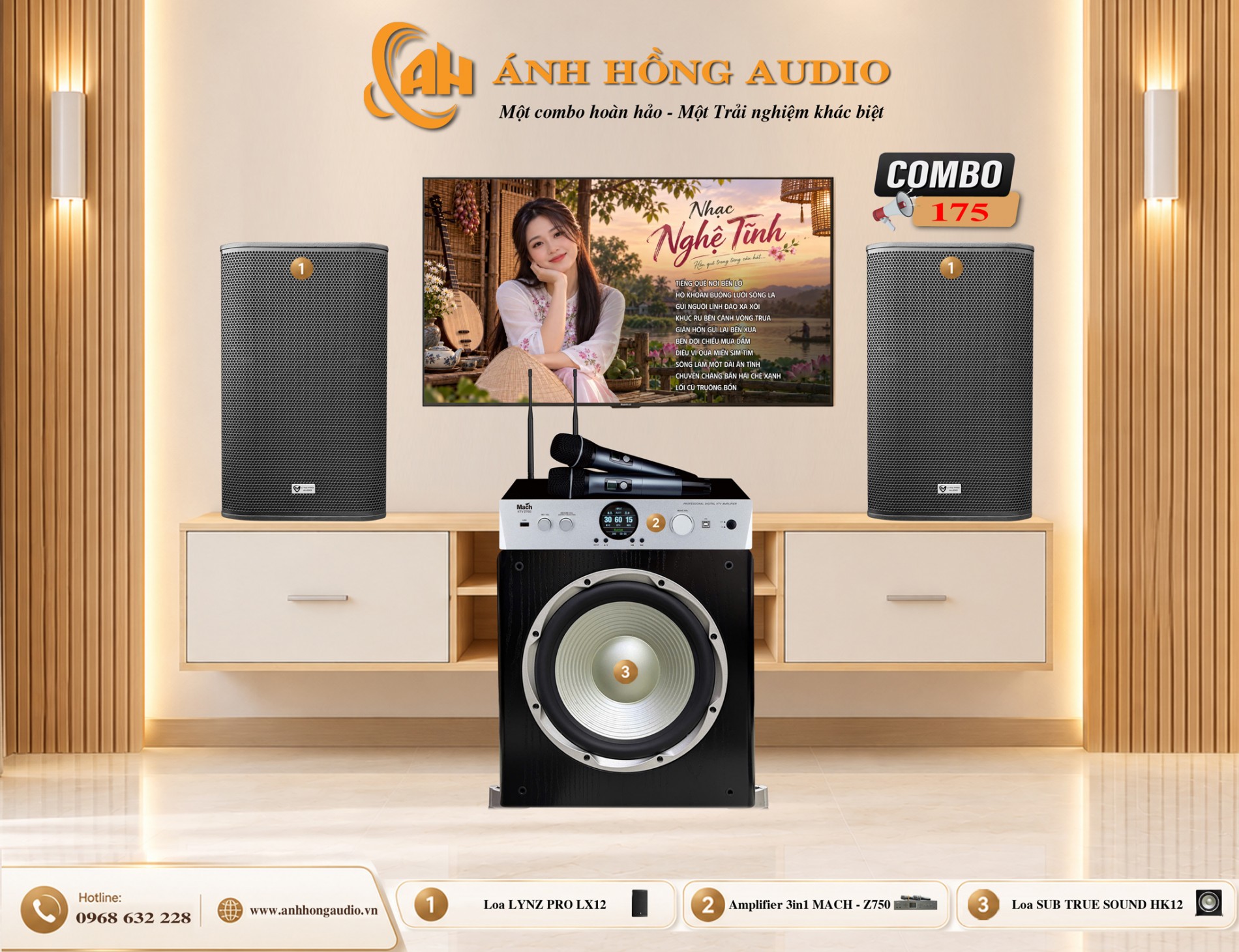 combo-dan-am-thanh-karaoke-gia-dinh-nghe_an-cb175n