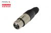 Đầu Jack Canon Cái Proel XLR3FV - anh 1